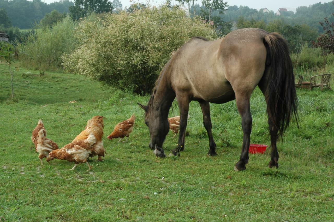 Wodne Ogrody Villa Dobczyce Buitenkant foto