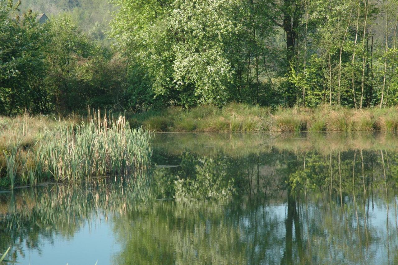 Wodne Ogrody Villa Dobczyce Buitenkant foto